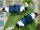 Sapho Longwing