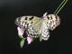 thumbnail Tree Nymph 