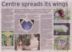 thumbnail centre spreads its wings