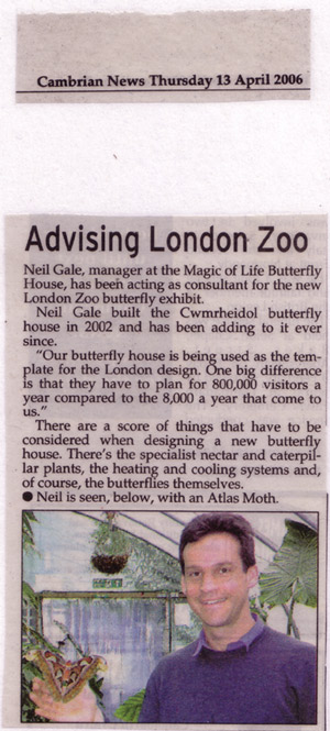 Cambrian News article on helping London Zoo Butterfly display